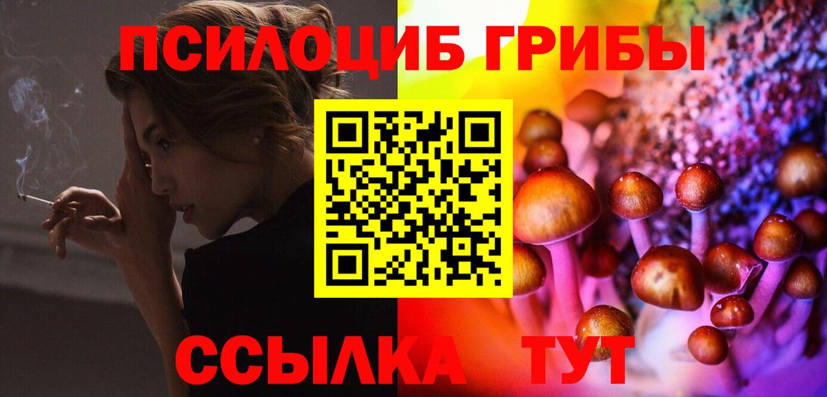 Псилоцибиновые грибы Cubensis  Вход с VPN  Сергиев Посад  Галлюциногенные грибы GOLDEN TEACHER 